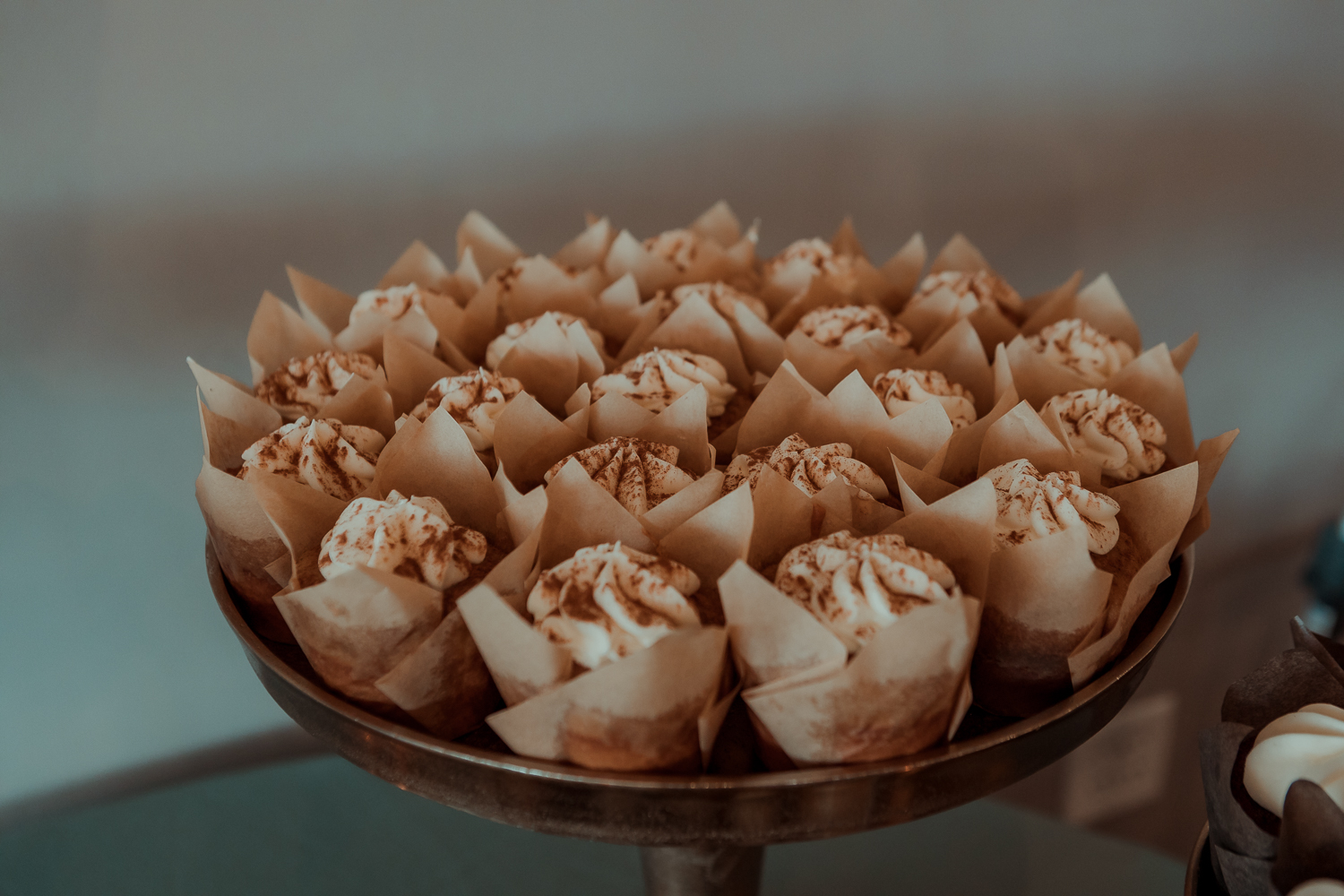 The Harmac Wedding, Cedar Rapids, Iowa