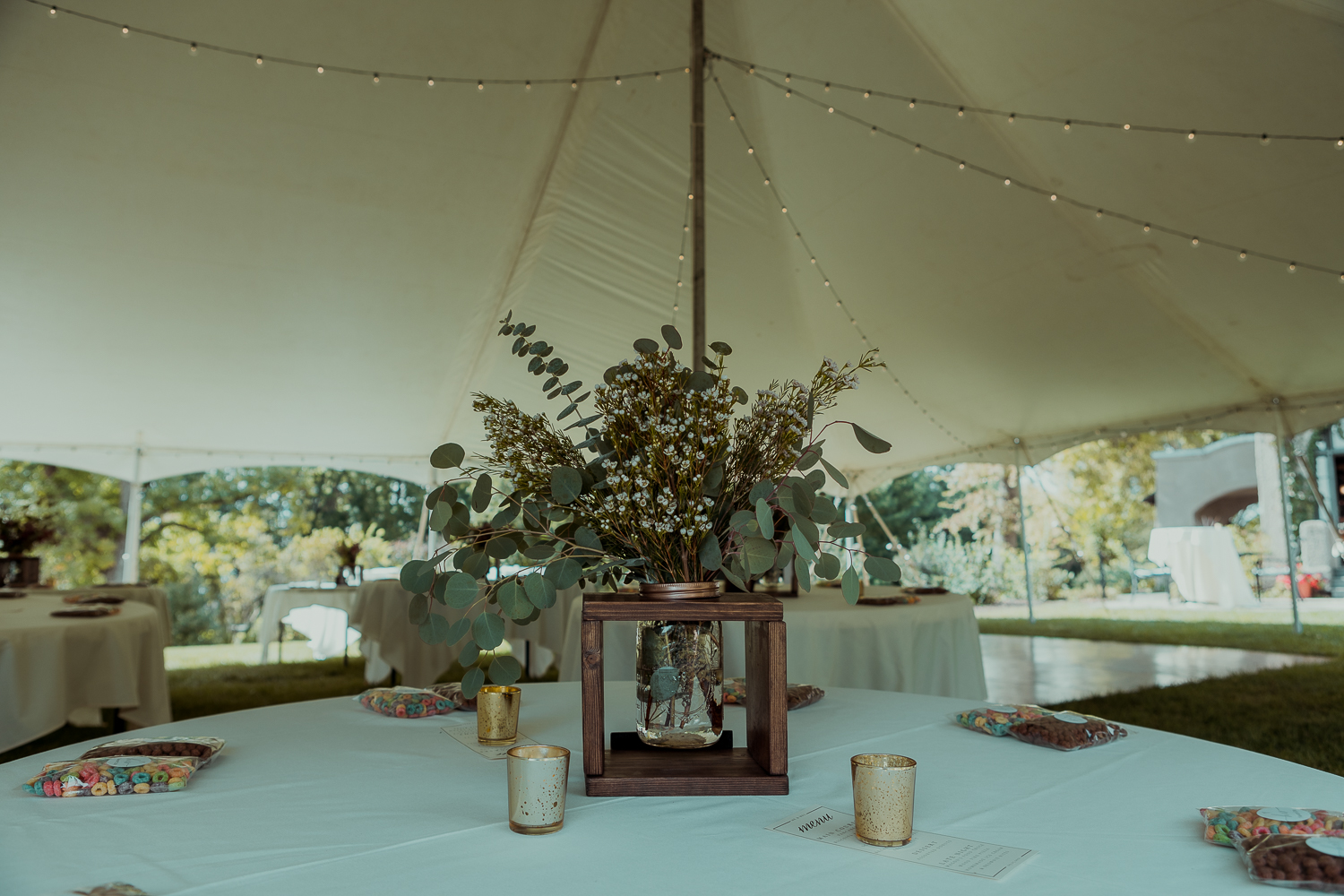 Four Mounds Foundation Wedding, Dubuque, Iowa