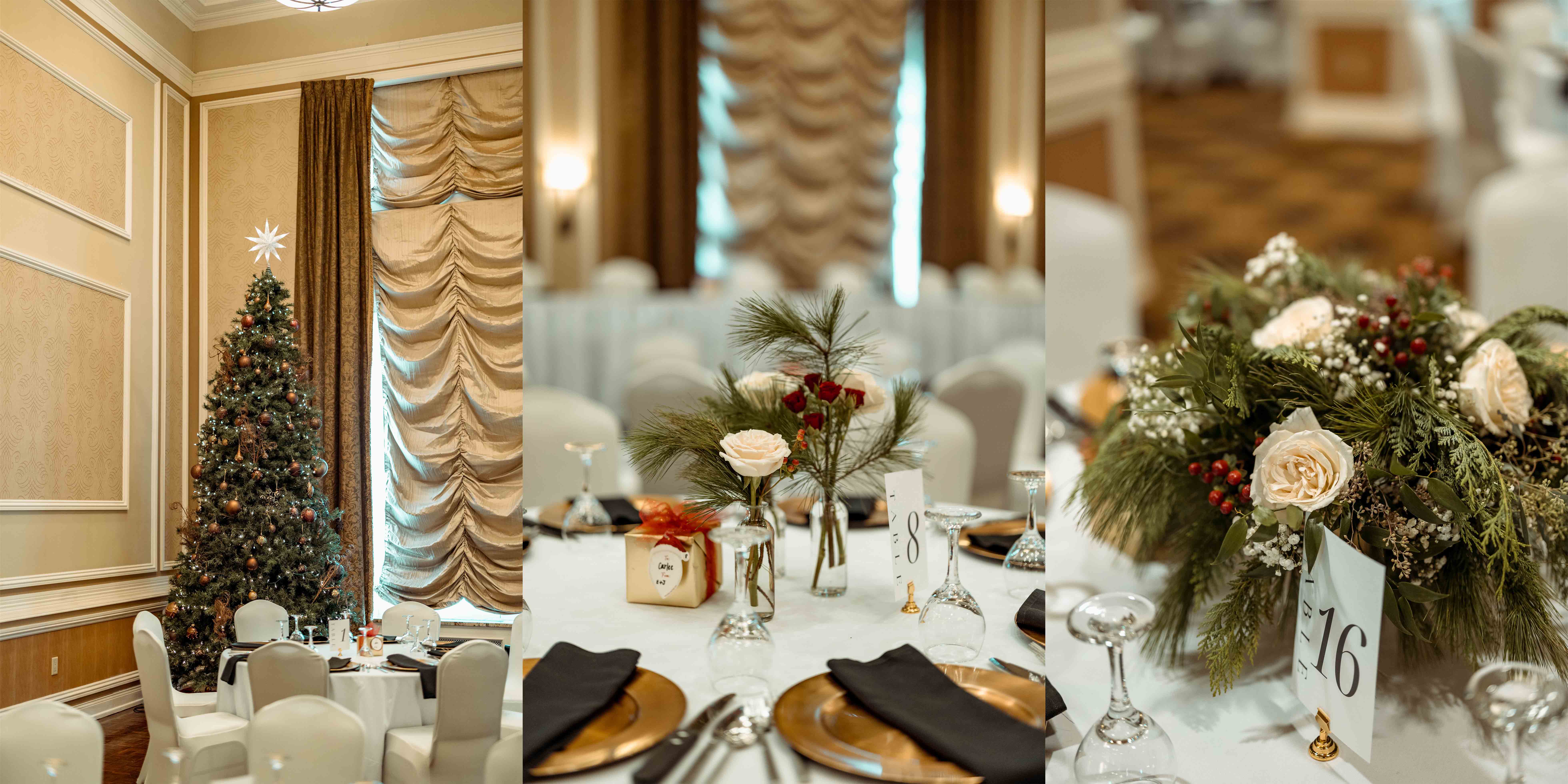 Hotel Julien Wedding, Dubuque, Iowa