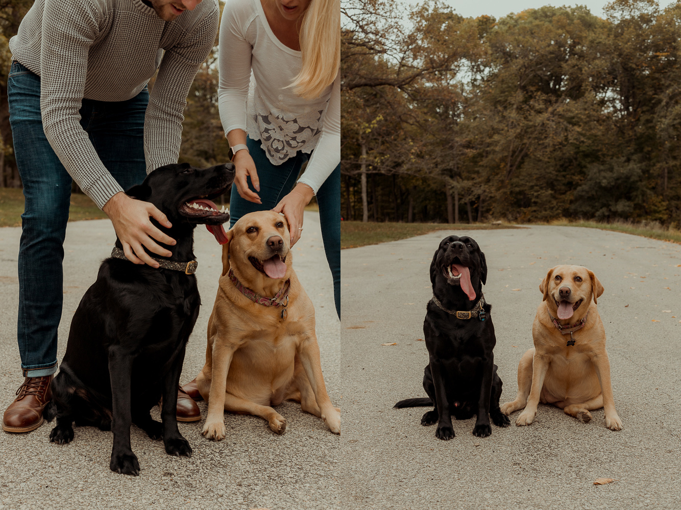 Palisades Kepler State Park Engagment Pictures, Mt Vernon, Iowa