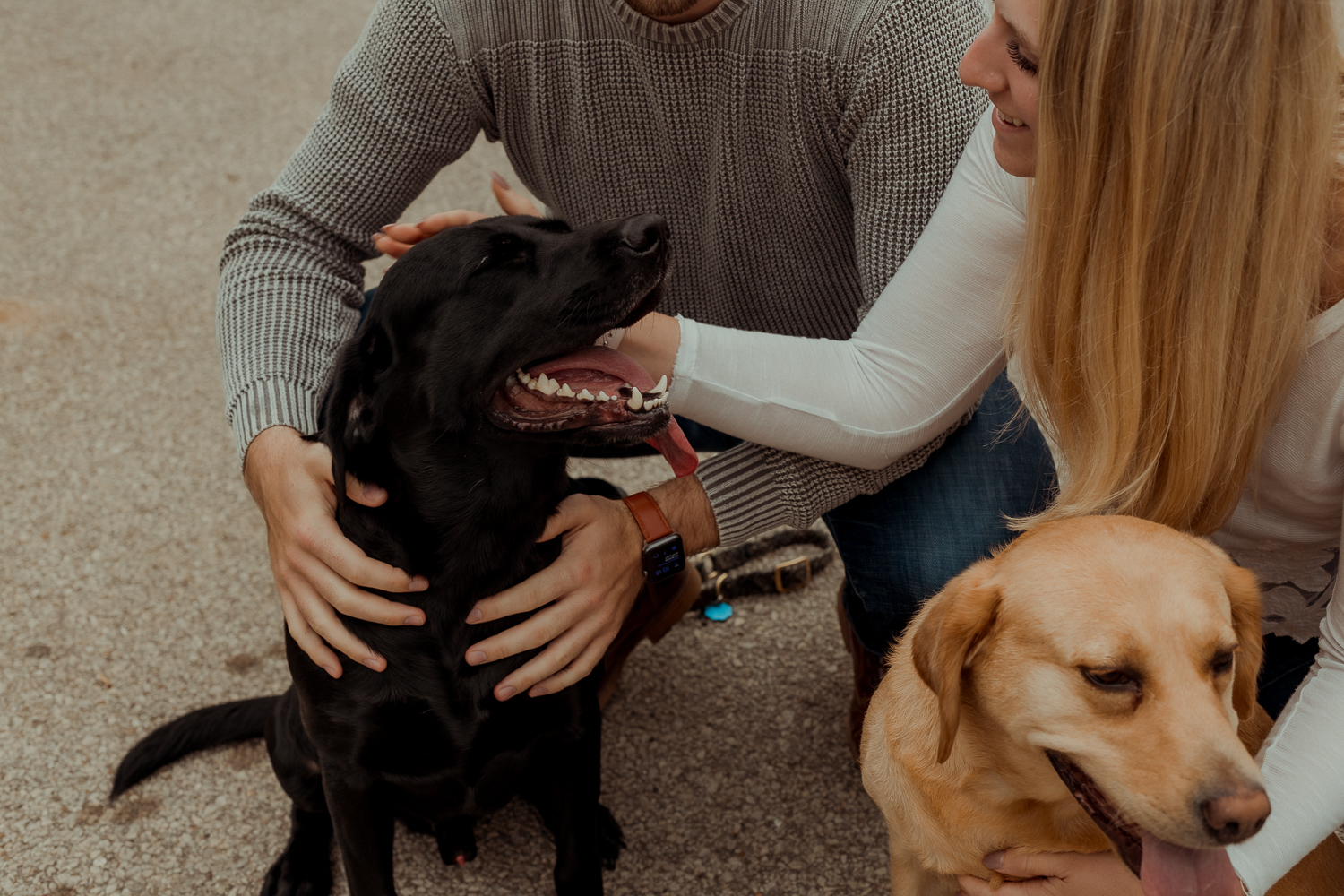 Palisades Kepler State Park Engagment Pictures, Mt Vernon, Iowa