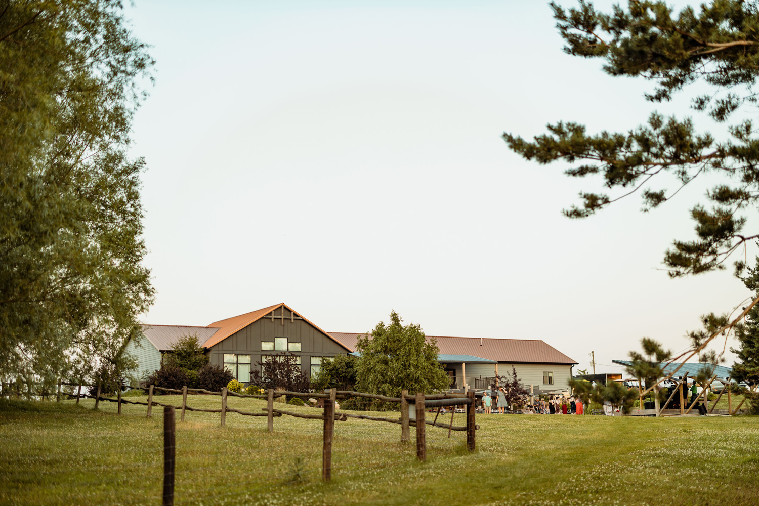 Koru Berry Farm, Homestead, Iowa