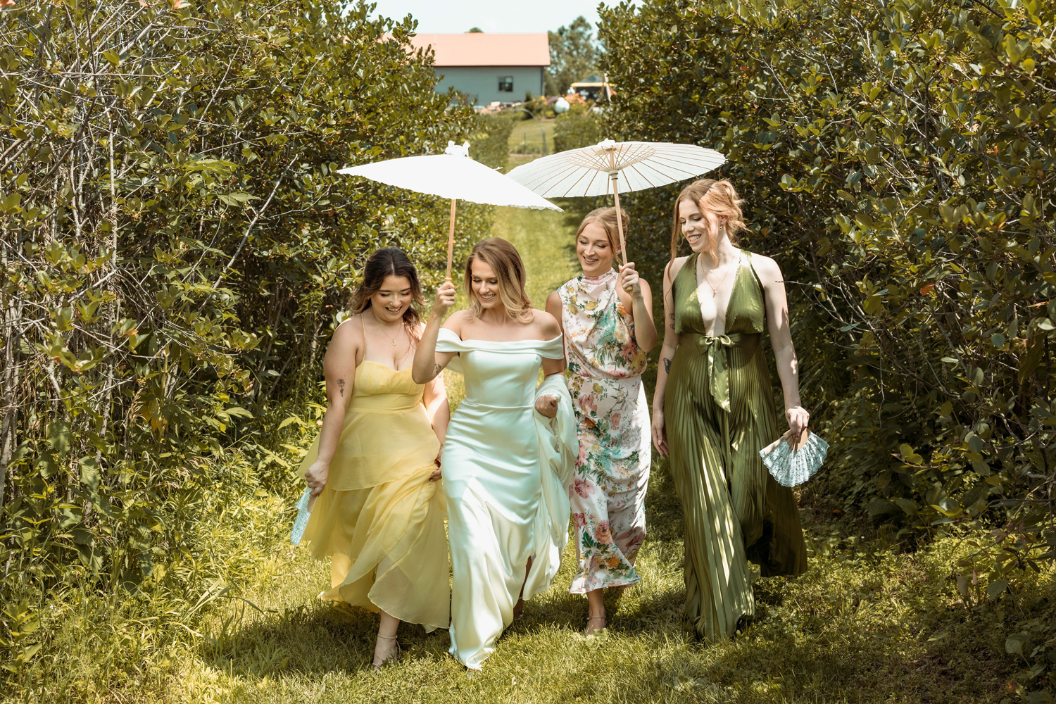 Koru Berry Farm, Homestead, Iowa