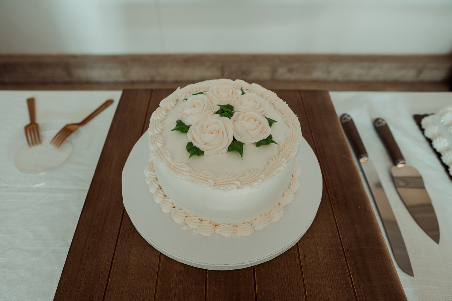 Vander Veer Park Wedding Photos