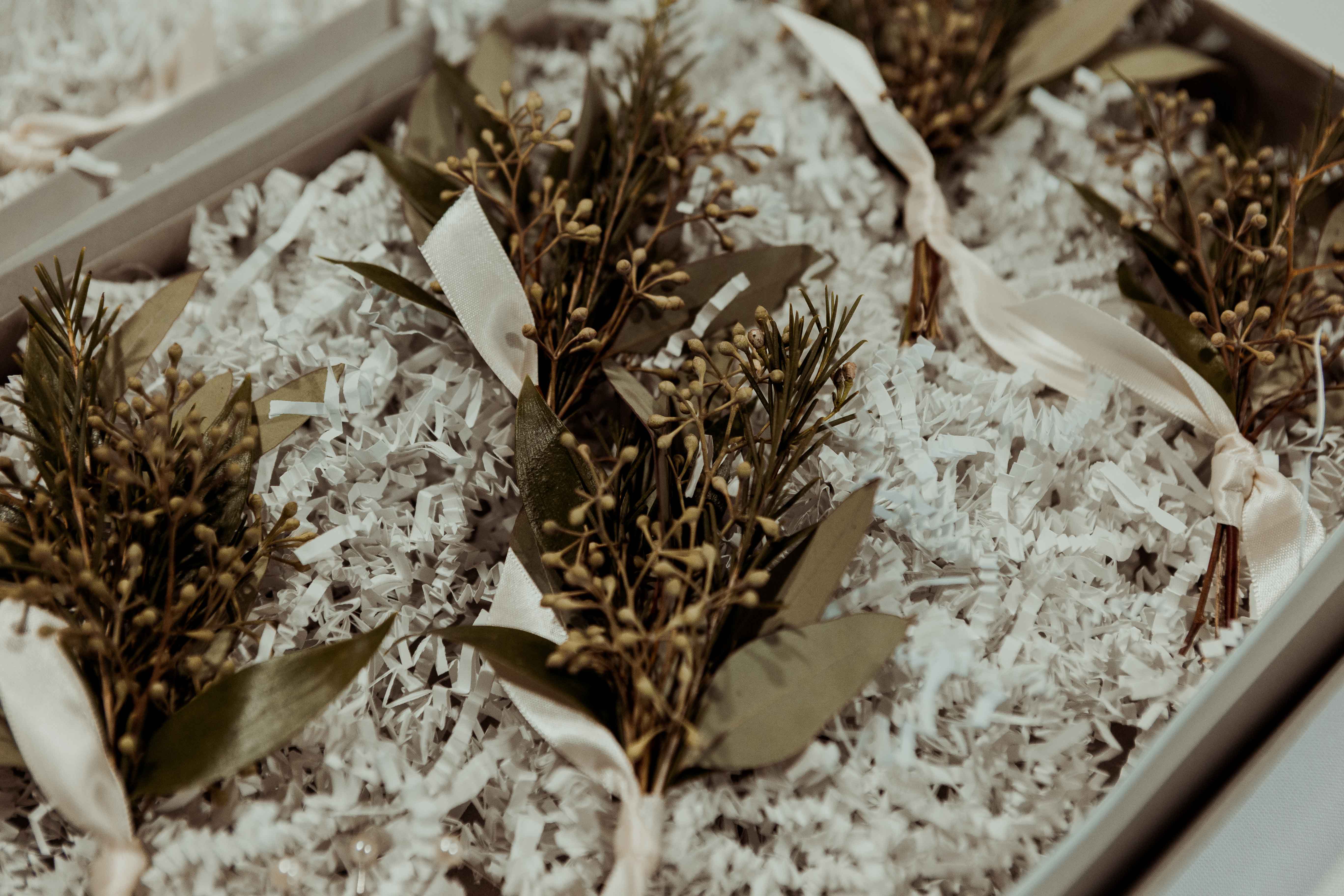 Cedar Rapids Noelridge Engagement Photos