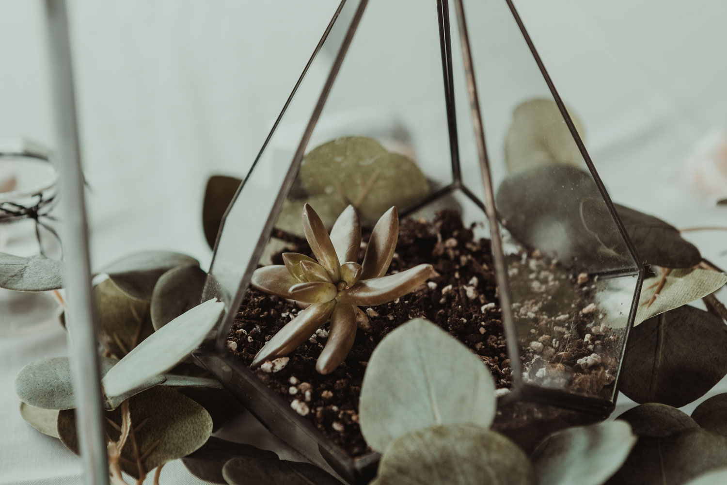 Cedar Ridge Winery Wedding