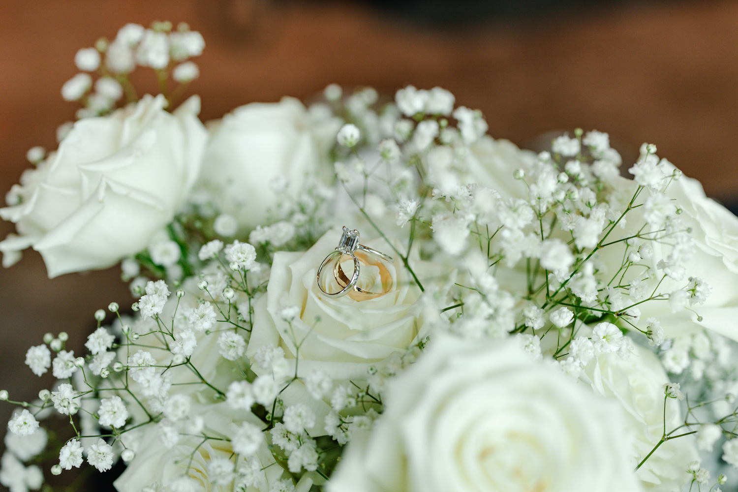 Ashton Hill Farm, Cedar Rapids, Iowa