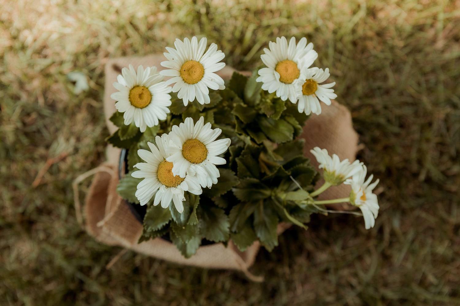 Home North Liberty Wedding Photos