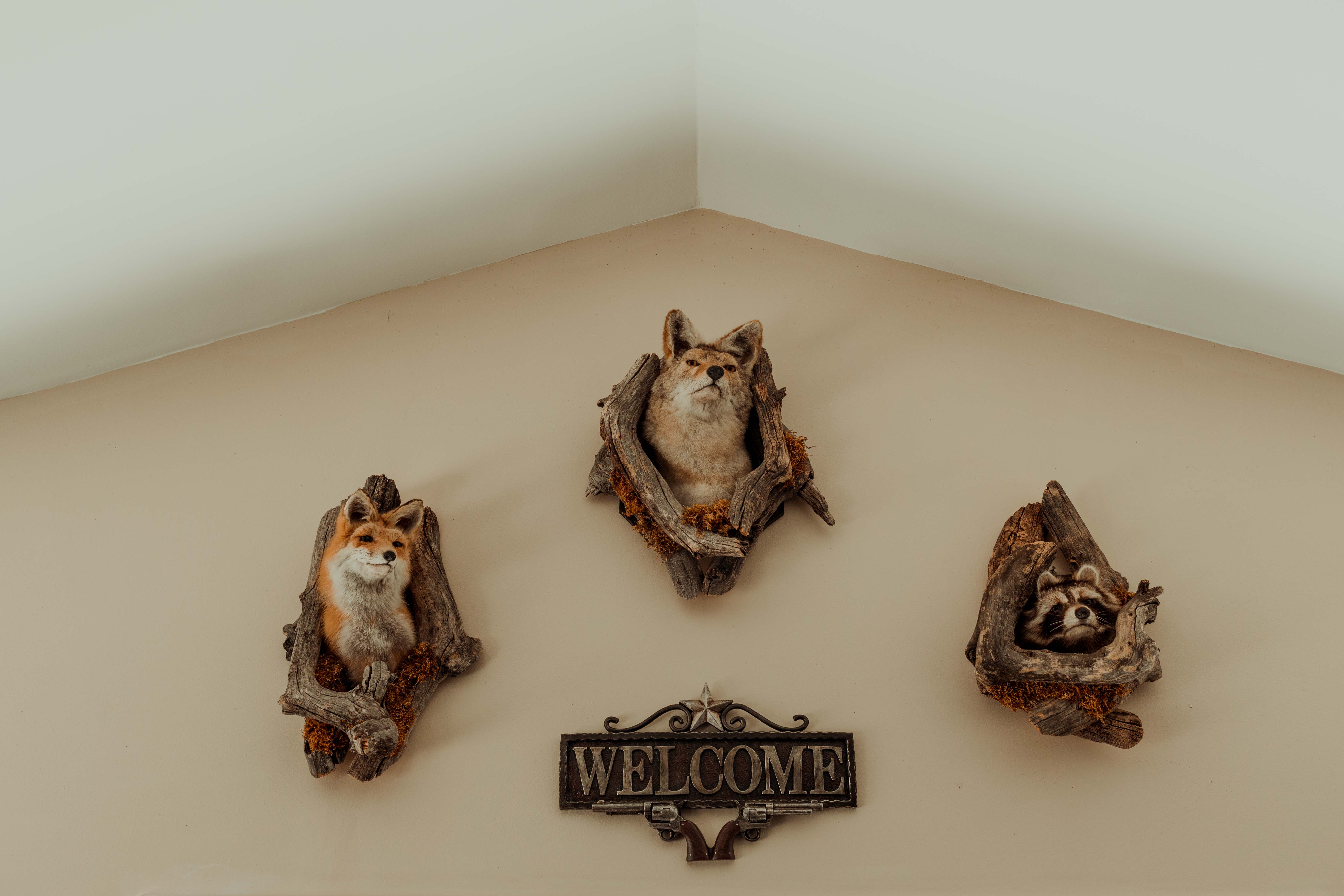 Family Farm, Albany, Illionis