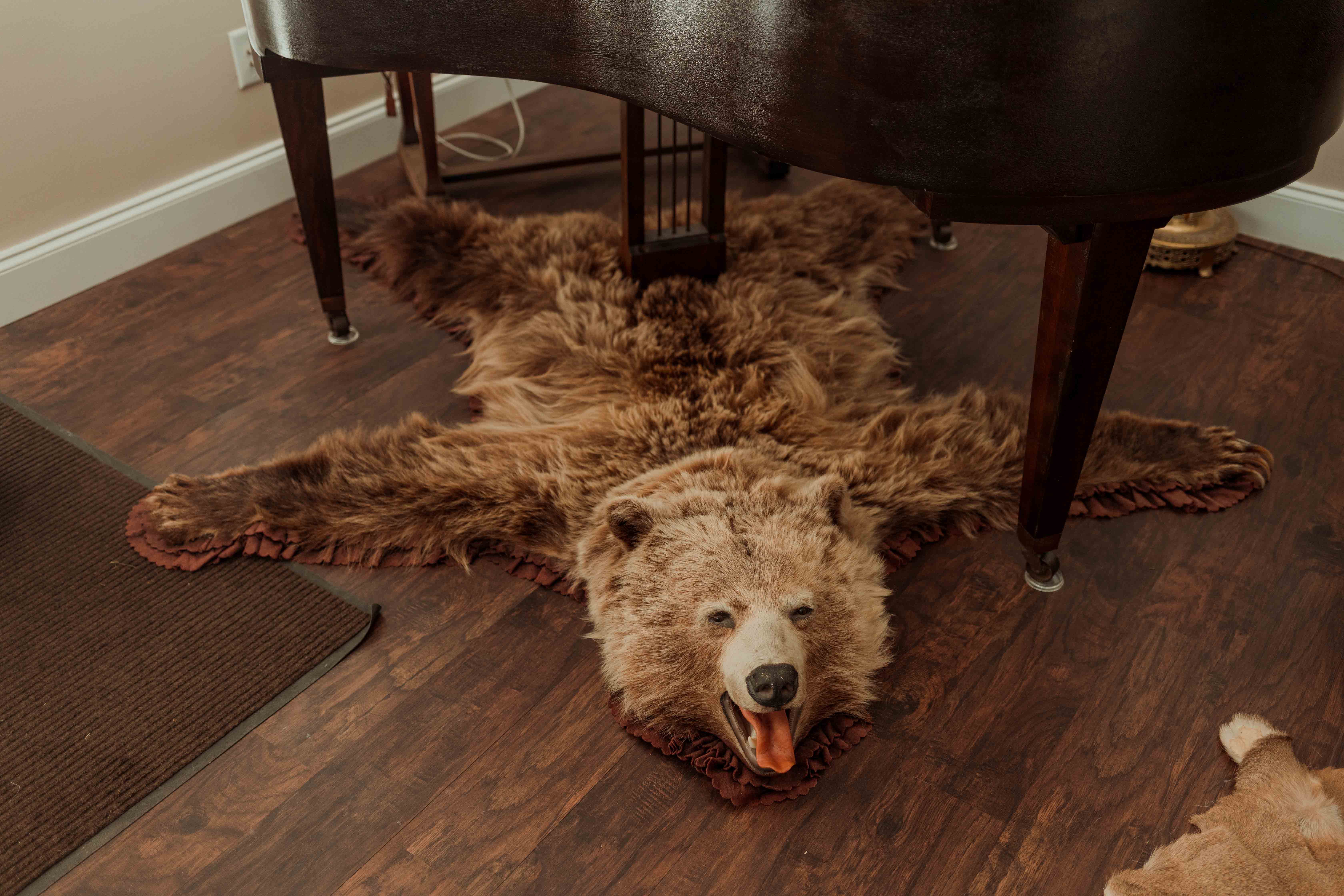 Family Farm, Albany, Illionis