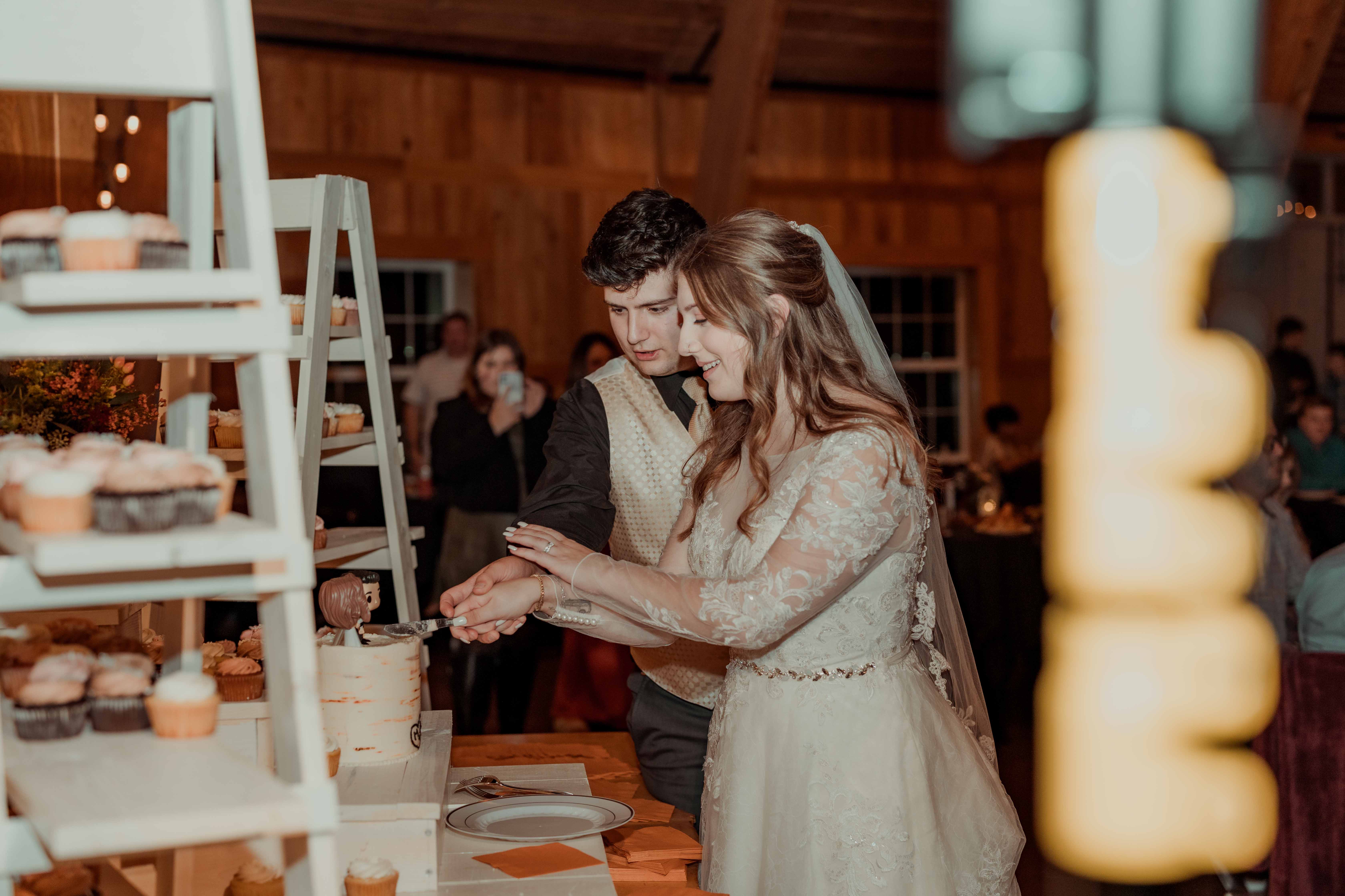 Celebration Farm Wedding Pictures, Iowa City, Iowa