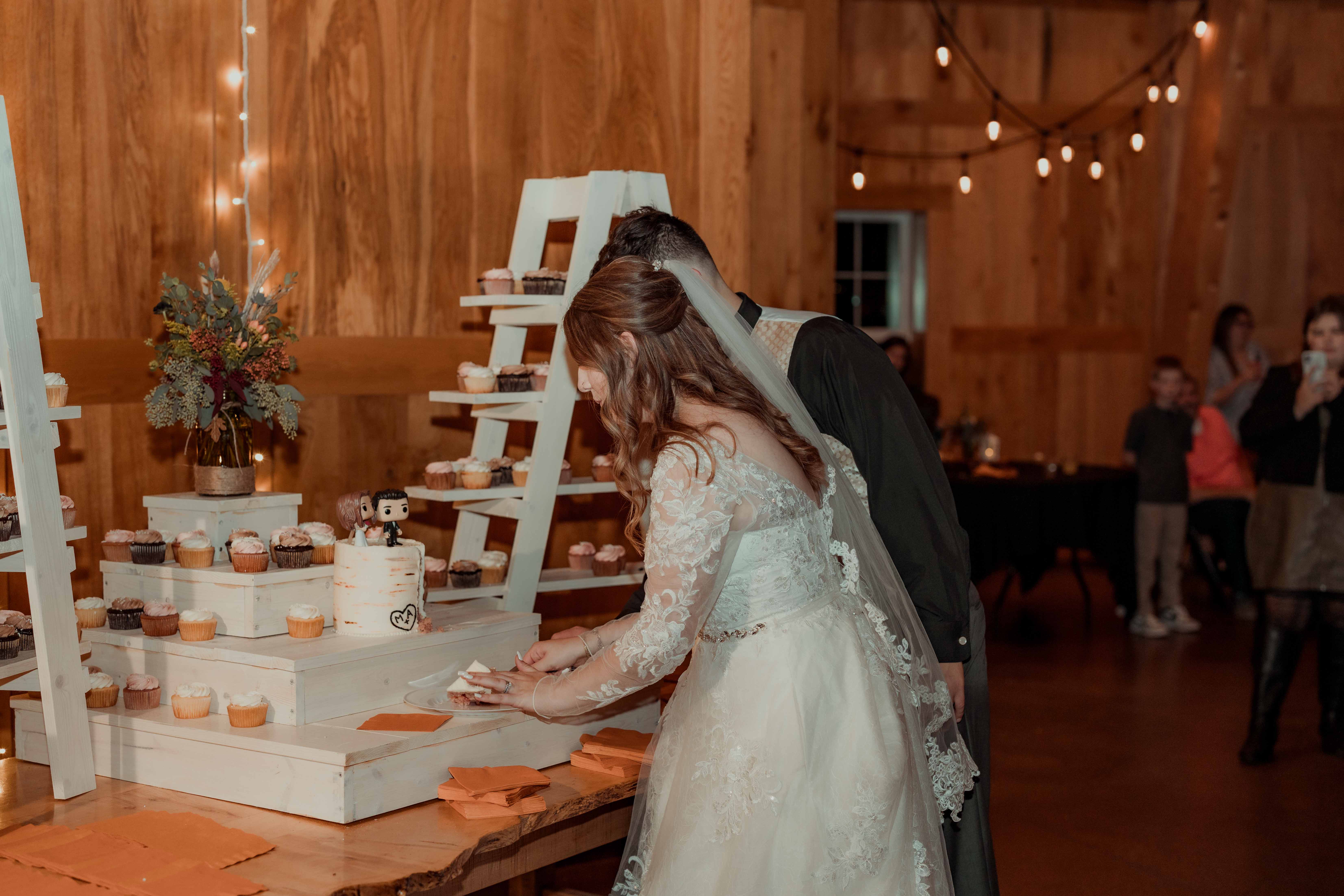 Celebration Farm Wedding Pictures, Iowa City, Iowa