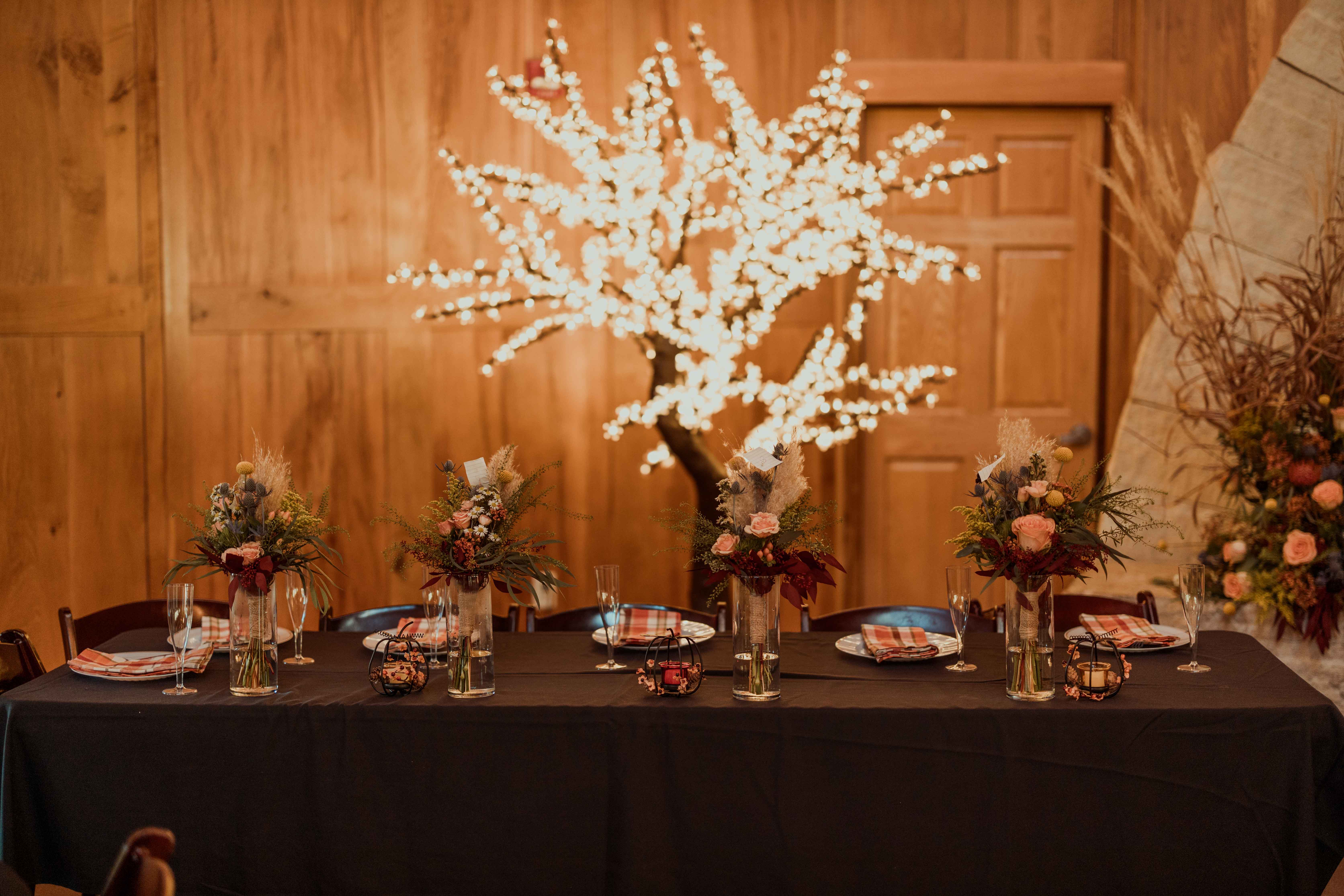 Celebration Farm Wedding Pictures, Iowa City, Iowa