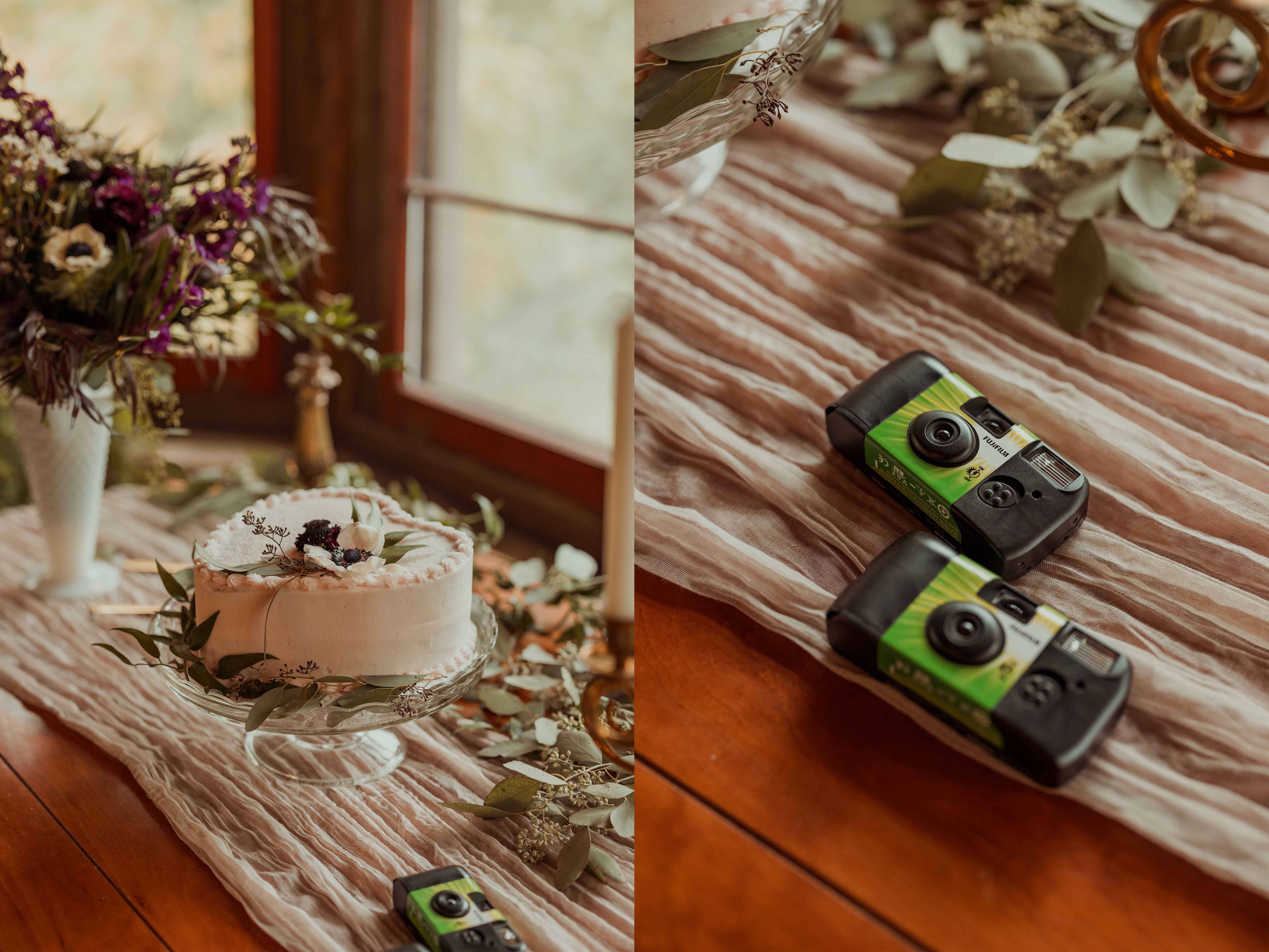 Palisades Kepler State Park Wedding, Mt Vernon, Iowa